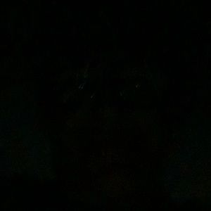 Meet your Posher, Leigh